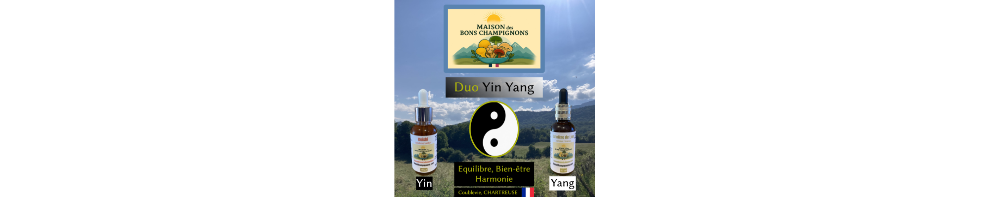 Duo Yin Yang Reishi & Crinière de Lion | Équilibre & Bien-être | Maison des Bons Champignons