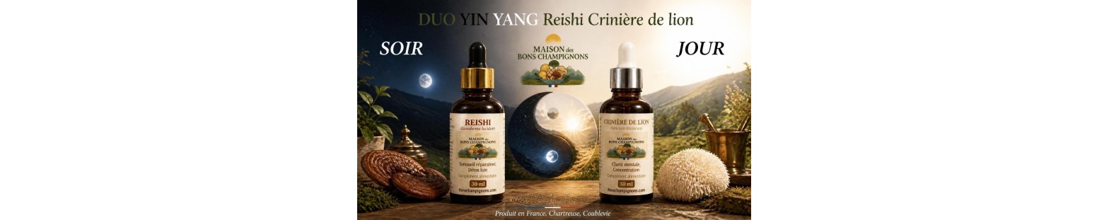 Duo Yin Yang Reishi & Crinière de Lion | Équilibre & Bien-être | Maison des Bons Champignons