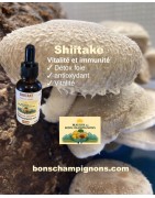 Shiitake - Extrait de Complément Alimentaire Cultivé en France