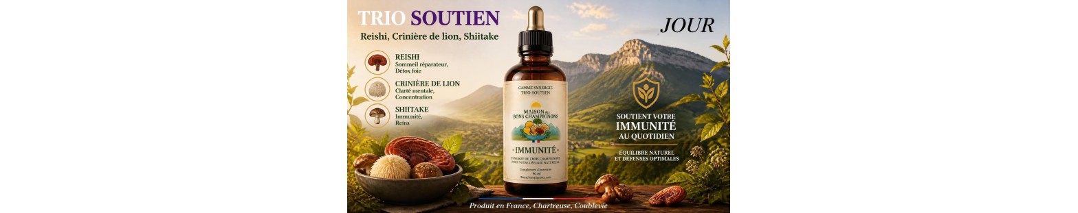 Synergie Champignons Médicinaux | Reishi, Crinière, Shiitake