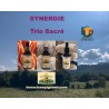 Pack Trio Sacré Reishi Crinière Shiitake