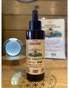 QUATUOR EQUILIBRE synergie Adpatogene Bons Champignons France